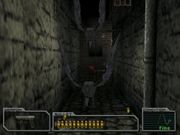 Resident Evil: Survivor