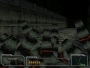 Resident Evil: Survivor