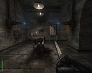 Return to Castle Wolfenstein