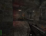 Return to Castle Wolfenstein