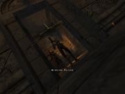 Return to Castle Wolfenstein