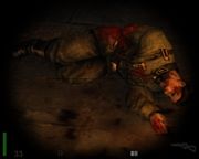 Return to Castle Wolfenstein