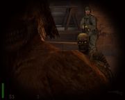 Return to Castle Wolfenstein