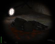 Return to Castle Wolfenstein