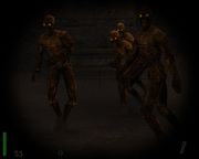 Return to Castle Wolfenstein