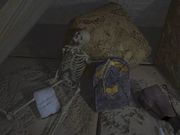 Riddle of the Sphinx