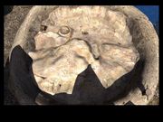 Riven: The Sequel to Myst