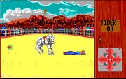 Rodeo Games