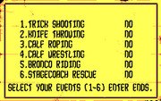 Rodeo Games