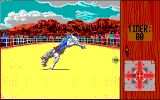 [Rodeo Games - скриншот №1]