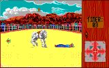 [Скриншот: Rodeo Games]