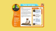 RSPB Wildlife Explorers Mammal Guide