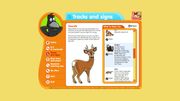 RSPB Wildlife Explorers Mammal Guide