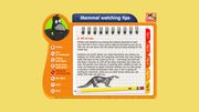 RSPB Wildlife Explorers Mammal Guide