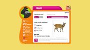 RSPB Wildlife Explorers Mammal Guide