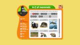 [RSPB Wildlife Explorers Mammal Guide - скриншот №3]