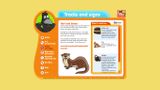 [RSPB Wildlife Explorers Mammal Guide - скриншот №16]