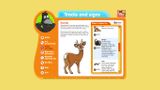 [RSPB Wildlife Explorers Mammal Guide - скриншот №17]