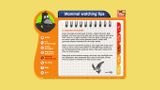 [RSPB Wildlife Explorers Mammal Guide - скриншот №22]