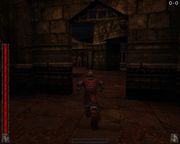 Rune: Halls of Valhalla