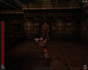 Rune: Halls of Valhalla