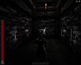 [Rune: Halls of Valhalla - скриншот №13]