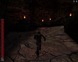 [Rune: Halls of Valhalla - скриншот №21]