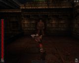 [Rune: Halls of Valhalla - скриншот №29]