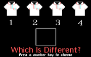 Same or Different