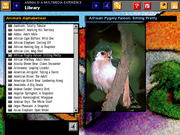 The San Diego Zoo Presents: The Animals!