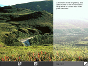 The San Diego Zoo Presents: The Animals!