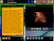 The San Diego Zoo Presents: The Animals!