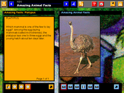 The San Diego Zoo Presents: The Animals!