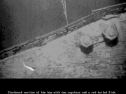 Search for the Titanic