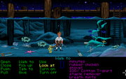 The Secret of Monkey Island