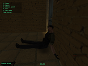 Secret Service: In Harm's Way