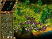 The Settlers IV