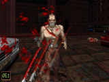 [Скриншот: Shadow Warrior]