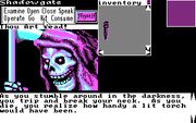 Shadowgate