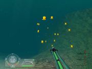 Shark! Hunting the Great White