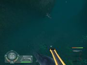 Shark! Hunting the Great White