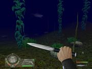 Shark! Hunting the Great White