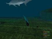 Shark! Hunting the Great White