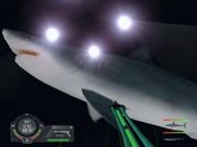 Shark! Hunting the Great White