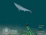 [Shark! Hunting the Great White - скриншот №6]