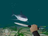 [Shark! Hunting the Great White - скриншот №7]