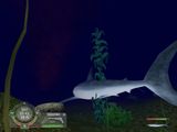 [Shark! Hunting the Great White - скриншот №17]