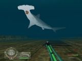 [Shark! Hunting the Great White - скриншот №21]