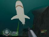 [Shark! Hunting the Great White - скриншот №25]