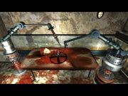 Shine: Die Angst hat einen Namen